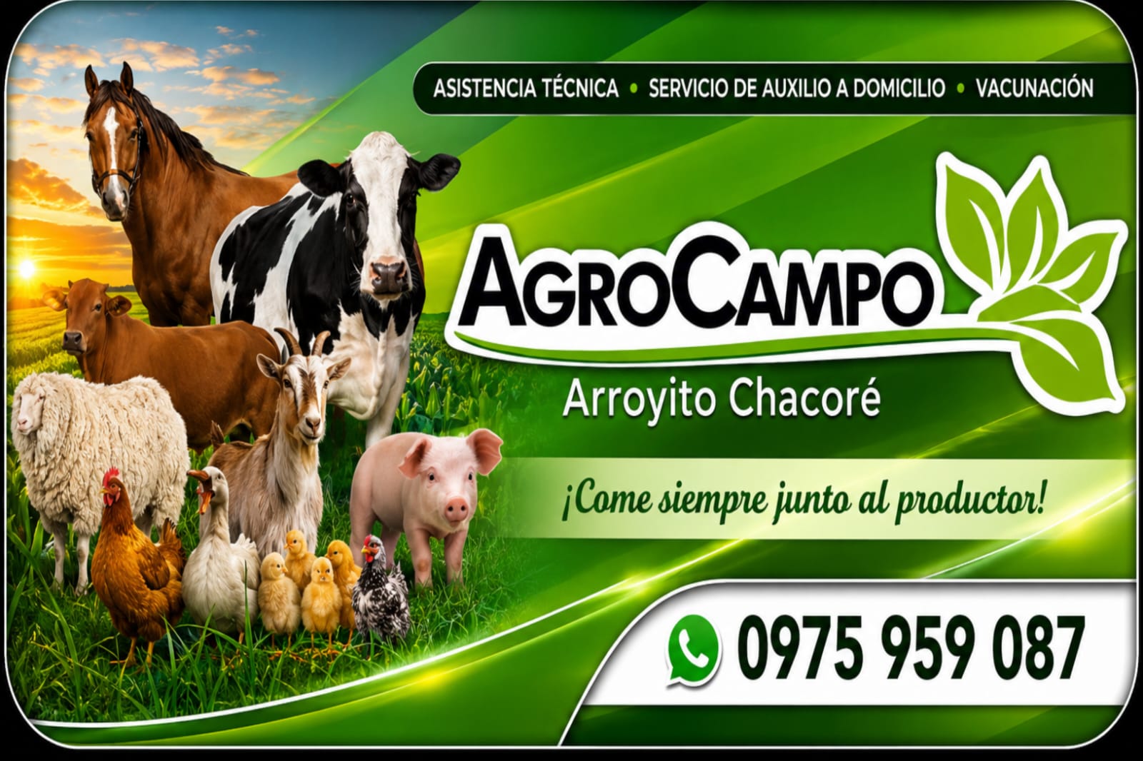 Publicidad